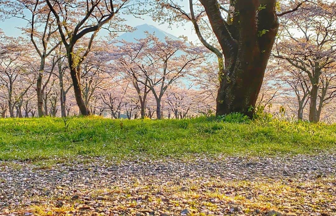 phantastic420のインスタグラム：「. 🤩🤩“Shizuoka” prefecture in Japan is a place where you can see the most “phantastic” Mt. Fuji🗻 in the world.🤩 #富士山 #mtfuji #japan #shizuoka #fujinomiya  #宮すた #miyasta @fujinomiyacity  #phantastic420photography #mostphantasticmtfuji #selamatpagi  #goodmorning  #おはようございます 😷😷😷😷😷😷😷🗻😷😷😷😷😷」