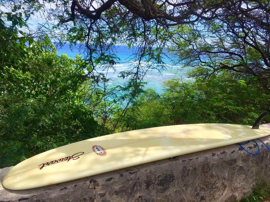 ワイキキ横丁さんのインスタグラム写真 - (ワイキキ横丁Instagram)「日曜のハワイは見事な晴天✨絶好のエクササイズ日和です☀️いつかまたビーチで人が集まれる日まで、健康に過ごしましょう、アロハ！ #ハワイ #ハワイ生活 #オアフ島」5月4日 7時42分 - waikikiyokochojp