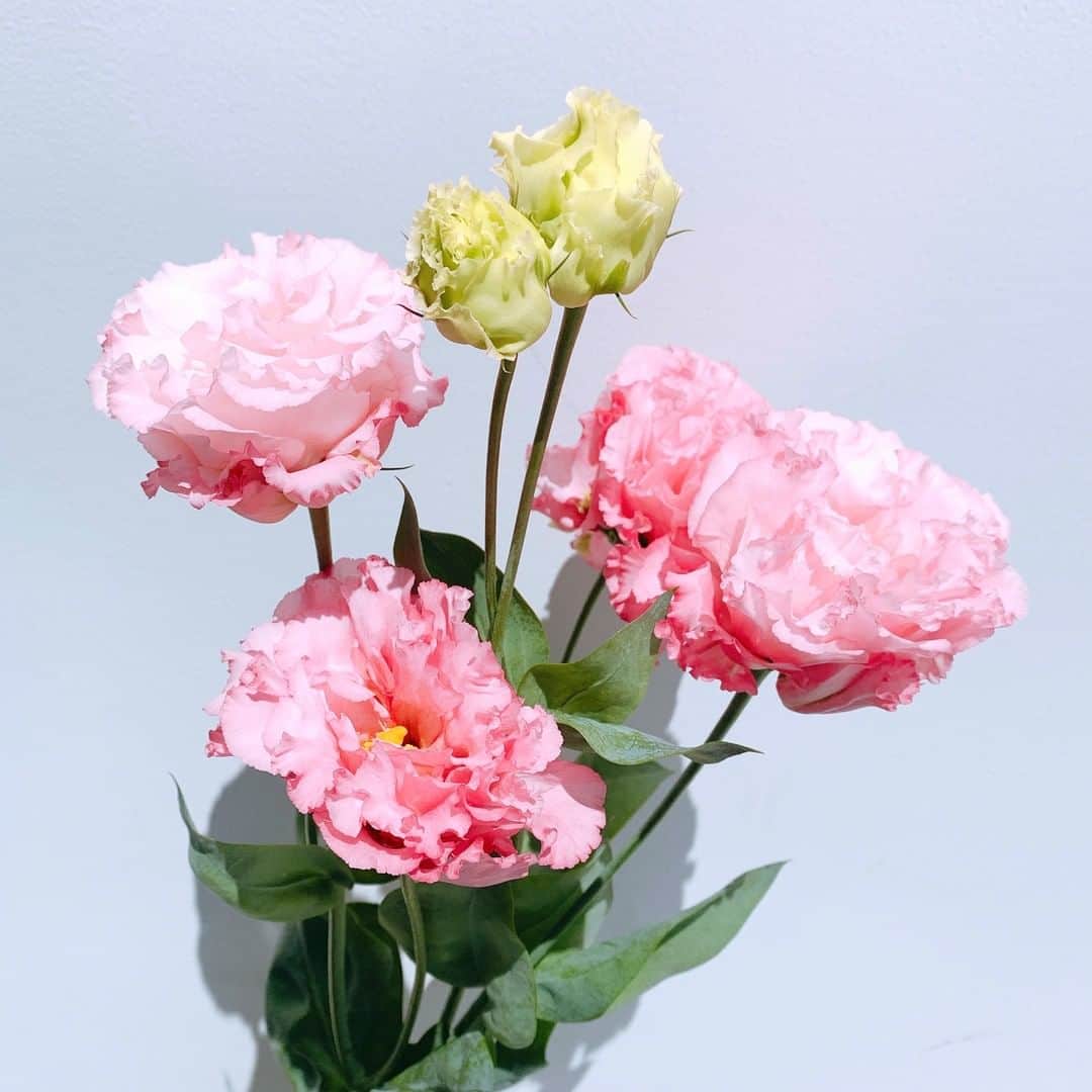 SPURさんのインスタグラム写真 - (SPURInstagram)「贅沢にフリルをあしらったドレスのようなトルコキキョウ。凛と咲く優美な姿に励まされます😊  #トルコキキョウ #花のある暮らし #花と暮らす #flower #花 #SPUR #SPURflower #spurmagazine」5月4日 9時00分 - spurmagazine