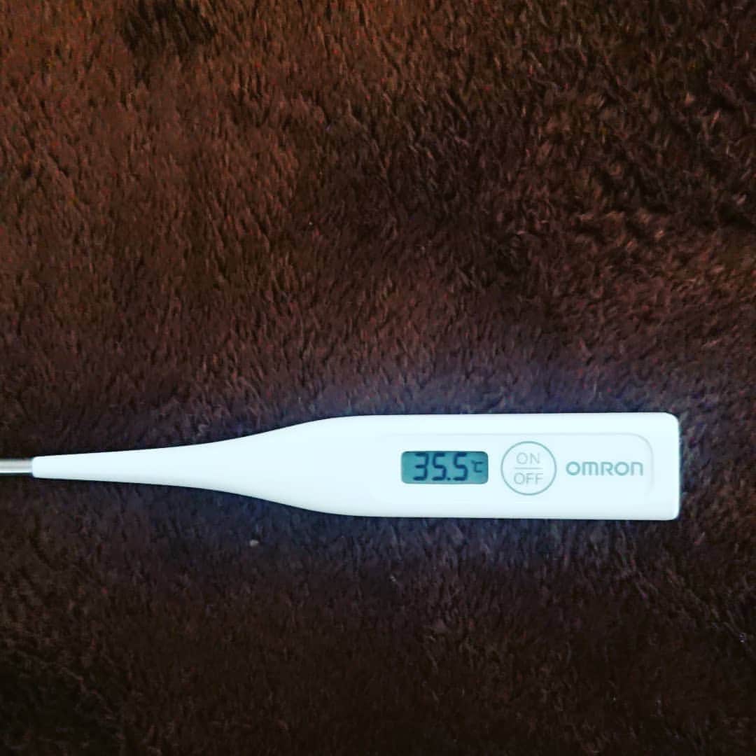 工藤亜耶のインスタグラム：「自粛で発見したこと。。。 毎日体温を測るようにしてるのですが、平熱が凄く低い(´Д｀) １ヶ月間、測って、35度5～35度9分。  代謝がスコブル悪いとゆうこと。。。 汗かきだから、代謝良いと思っていた(._.) どうにか36度代には持ってきたい次第。」