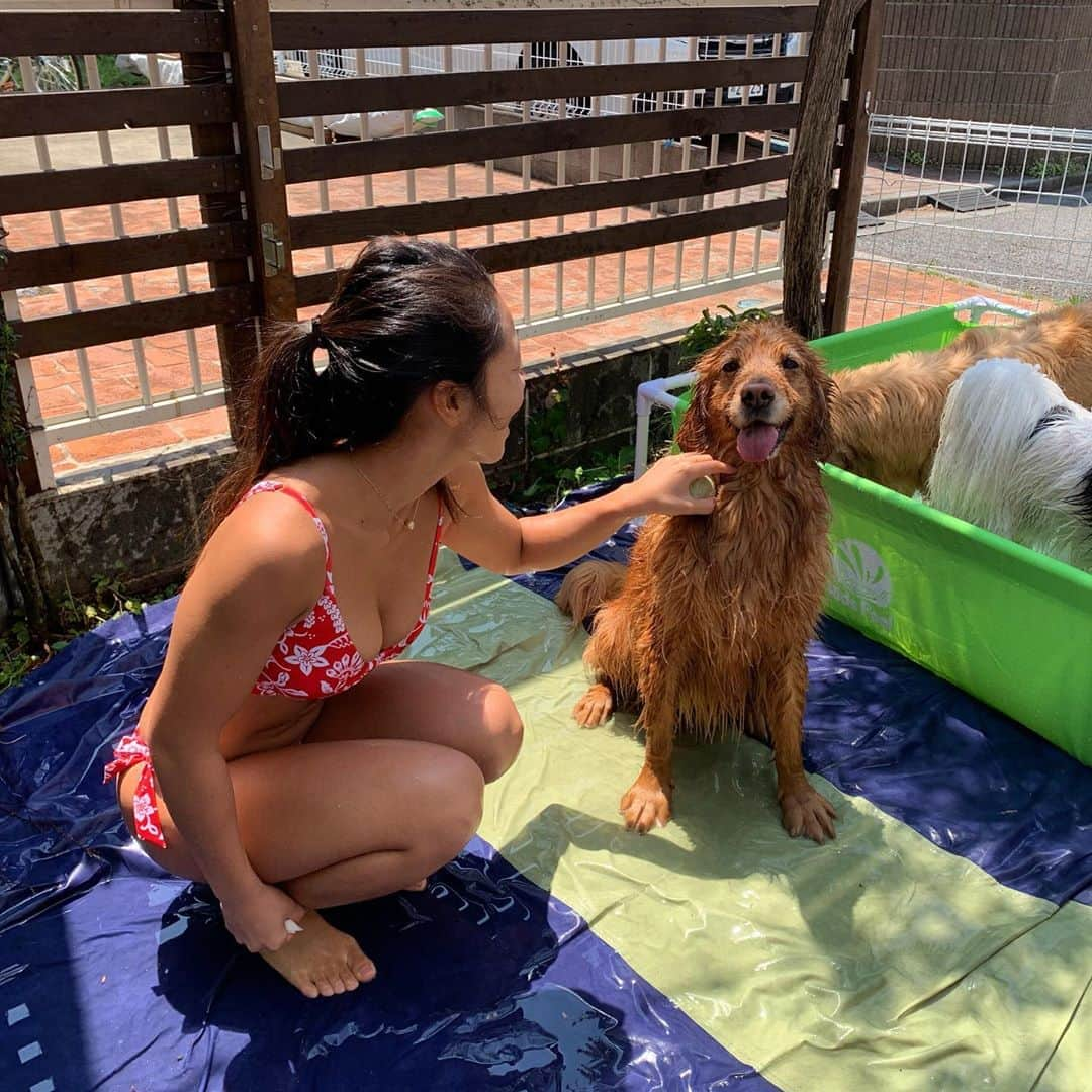 大村 奈央さんのインスタグラム写真 - (大村 奈央Instagram)「☀️🚿🐶👙 ロキシーからの新作ビキニ。海に行けなくて着れないな〜と思っていたけれど、庭で遊べた🌺✨新しい水着で遊べて、自粛が続く中でも嬉しい気持ちになりました。 昨年からデザインを考えて作ってくれていたことに、いつも以上に感謝です😊 @mimi_w10cn1d4u @sugi33sugi  Thank you @roxy @roxyjapan」5月4日 19時59分 - naoomura