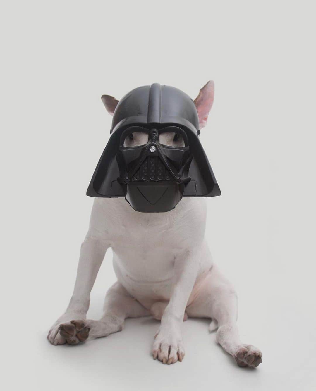 ラファエルのインスタグラム：「May the 4th be with you ⚔️ #maythe4thbewithyou」