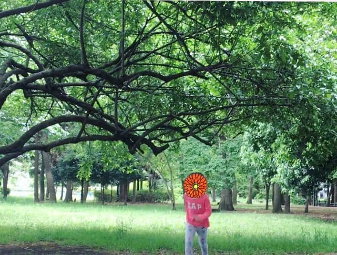 六車奈々さんのインスタグラム写真 - (六車奈々Instagram)「今日も、歩いてすぐの公園へ。 自然いっぱいの公園。  人も少なくて、のびのび。  #娘と #走りまわってきた #楽しい」5月4日 20時50分 - nanarokusha