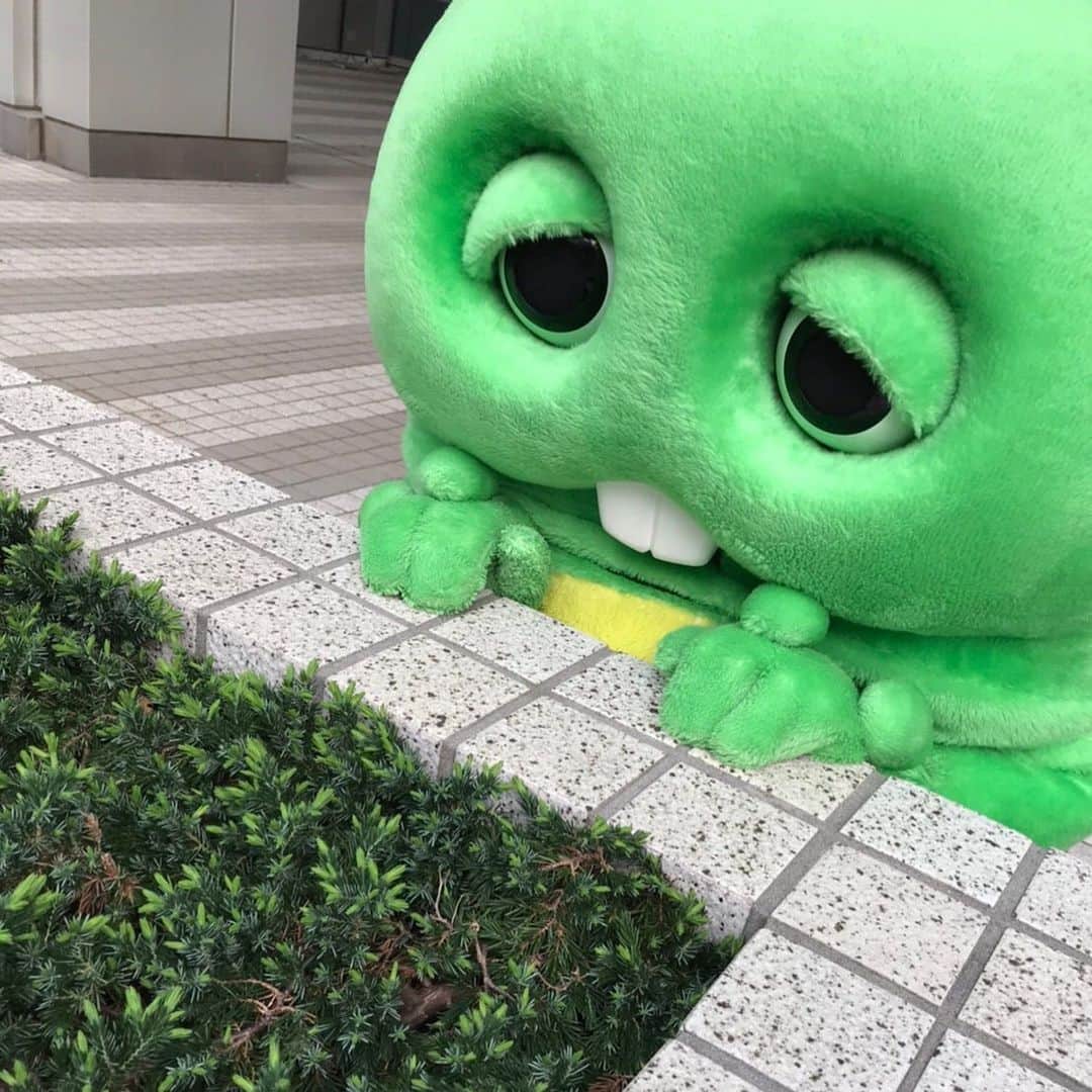 のインスタグラム：「さて、今日は月曜日！ ニュースみてね！  #ライブニュースイット #ガチャピン」