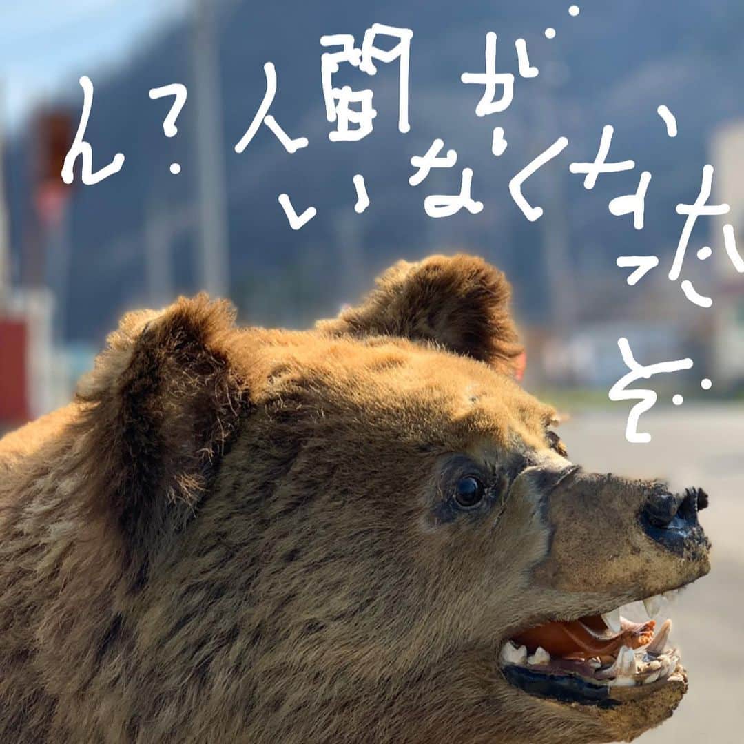 メロン熊【公式】のインスタグラム：「熊を放牧しました  すていほー  #メロン熊  #ひぐま #熊 #ステイホーム  #夕張 #北海道 #交通安全」