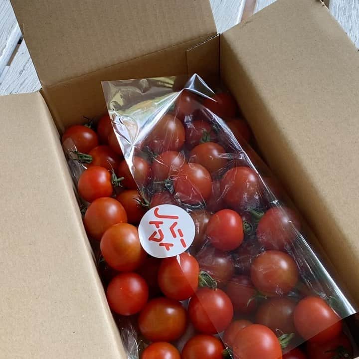 のインスタグラム：「. 美味しいトマトをプロデュースしています❣️ フルーツ感覚で食べれるトマト🍅 トマト嫌いの お子さんもこれ食べて トマト食べれるようになったと❣️と言う方もいました😘 . 甘さの中に酸味ありナイスです〜 . 私がハニートマトと名付けました😊 . お得な不揃いもあります😘😘😘 webで買えます〜 詳しくは @ldhfarm_official  に飛んで下さいー❤️ #トマト #ハニートマト #美味しすぎて幸せ  #本当に美味しい #是非　#❤️ #rikacotable  #rikaco_fashion」