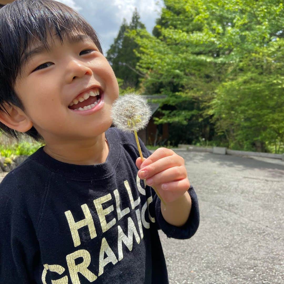 kougeishaのインスタグラム：「タンポポ　ふーー。」