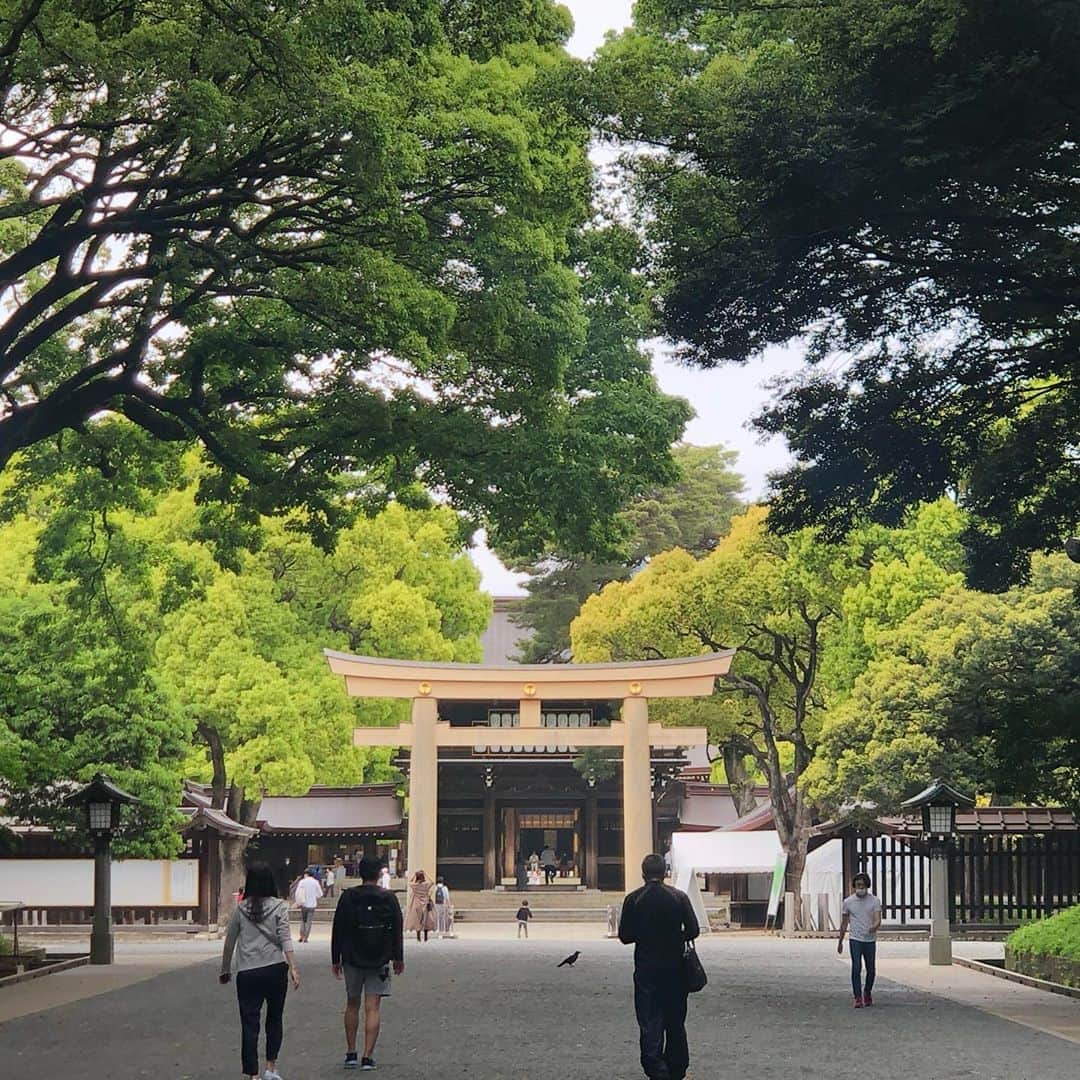 宇佐美進典のインスタグラム：「たまには散歩。　#明治神宮　#コロナウイルスが早く終息しますように」