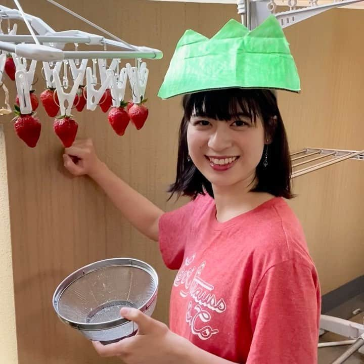 繁田梨世のインスタグラム：「お家でいちご狩りしてみました🍓 . . 今年初のいちご狩りが思いの外楽しかったのでオススメ😚😚😚 . . 動画の続きはTwitterにのせているので見てね〜 . . スルメもつるしてみたよ🦑 . . イチゴ美味しい🥰 . #おうち時間#お家でいちご狩り#イチゴ狩り#今年初#とちおとめ#美味しい#食いしん坊#頬張る#スルメ#スルメ女子#繁田梨世#stayhome #おうち角座#松竹芸能」