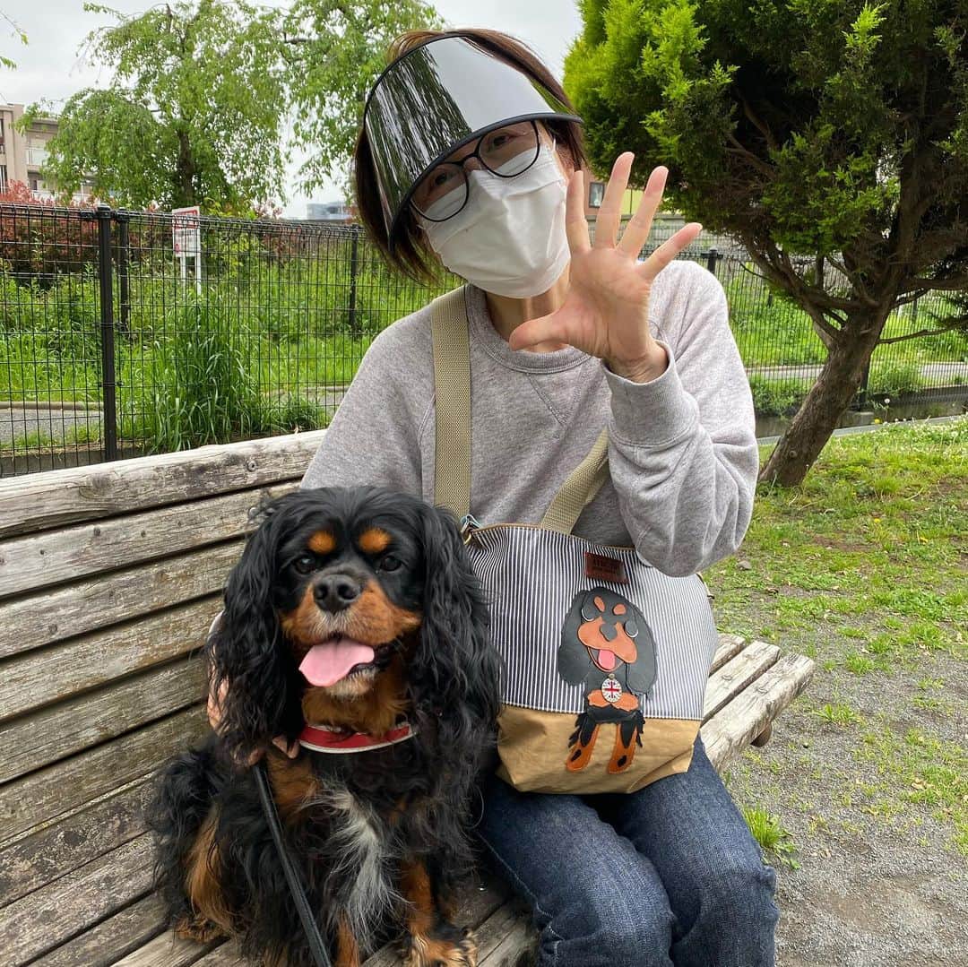 奈美悦子さんのインスタグラム写真 - (奈美悦子Instagram)「クッキーと散歩！ちょっと怪しい私😅 #散歩#愛犬#クッキー#可愛い#怪しい私#公園#キャバリア#キャバリアキングチャールズスパニル #ブラックタン」5月4日 15時47分 - nami.etsuko