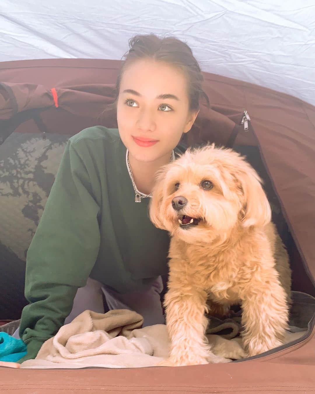 サクラ・キルシュさんのインスタグラム写真 - (サクラ・キルシュInstagram)「[ 🌳 ]  昨日は家族で日帰りキャンプをしました！🌝 行き先は山の上、人が誰もいない所。 ちょっと寒かったけど、楽しかった (*´꒳`*) . #camping #dog #ikamper #campingwithdogs #campinglife #positivity  #アイキャンパー」5月4日 16時53分 - sakura_kirsch