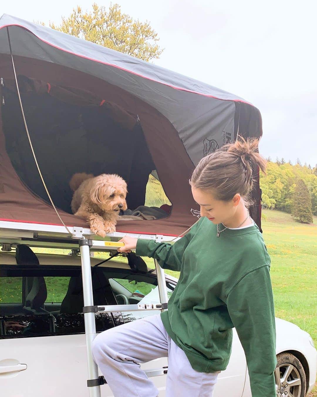 サクラ・キルシュさんのインスタグラム写真 - (サクラ・キルシュInstagram)「[ 🌳 ]  昨日は家族で日帰りキャンプをしました！🌝 行き先は山の上、人が誰もいない所。 ちょっと寒かったけど、楽しかった (*´꒳`*) . #camping #dog #ikamper #campingwithdogs #campinglife #positivity  #アイキャンパー」5月4日 16時53分 - sakura_kirsch