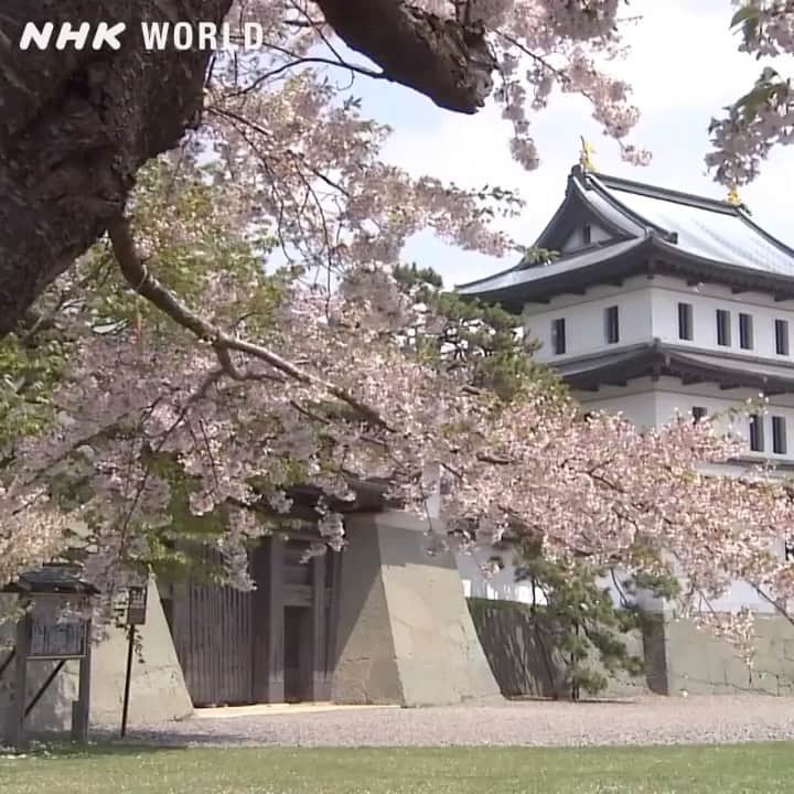 NHK「WORLD-JAPAN」のインスタグラム