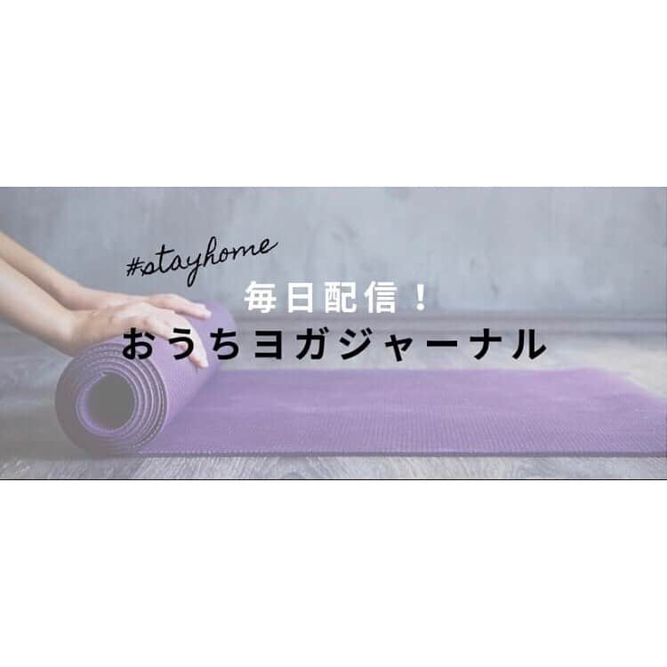 梅澤友里香さんのインスタグラム写真 - (梅澤友里香Instagram)「@yogajournal_japan @yogajournalonline さんの 素敵企画🥺💕 『 #15minおうちヨガジャーナル 』 ヨガジャーナルでお馴染みの先生が毎日 15分のヨガレッスンを回していきます❤️ 私も講師として参加します😍 ・ 視聴方法は ヨガジャーナルさんが運営するFBページで 『おうちヨガジャーナル』のグループが 出来ています🙏🏻✨ ・ そのグループからの FBライブになります！ もちろん無料です☺️✨ ・ 私の担当は ---------------- 🔸5/5（火）15:00〜15:15 安眠ヨガ 🔹5/6（水）10:00〜10:15 ボディメイクヨガ 🔸5/11（月）21:00〜21:15柔軟性アップヨガ 🔹5/18（月）21:00〜21:15柔軟性アップヨガ 🔸5/25（月）21:00〜21:15柔軟性アップヨガ --------------- となります🙏🏻✨ 15分という限られた時間ですが 少しでも皆さんの おうち時間が良い時間になれるように していきたいと思ってます🥺✨ ・ その他にも ヨガスタジオのオンラインレッスンも始まったり、 オンライン率が高まります😂 ・ だけどみんなと繋がれる事が 本当に嬉しいです❤️ ・ 5月も引き続き #梅澤友里香オンラインヨガサロン 継続します🙏🏻✨ 日程は随時ストーリーも含め お知らせしていきます🙏🏻✨ ・ ✨GW明けレッスン料金について✨ 今までは継続してくれている方に クーポンコードを使い割引していましたが、 ほぼ100%の方がクーポンコード利用なので、 クーポンコード利用金額を定額に 料金下げました🙏🏻✨ ヨガの練習は『継続』がとても大事🥺✨ さらに続け易くなってくれると嬉しいです🥺✨ 新規の方も是非是非ご参加ください✨ ・ オンラインも慣れてきたもので、 プロップスや家にあるもの使って サポート出来る方法など 色々考え甲斐があります😘 ・ ちなみに 5/6（水）12:00〜 のレッスンはヨガベルト（または長めのフェイスタオルを代用） をチャレンジポーズなどでサポートに 使う内容にしようかな✨ と思ってます！ （基本vinyasaでヨガベルトを時折り混ぜる。的な感覚です🥺） ・ 3日のレッスンで行ったのですが もっと使い方知りたい！ ってお声があったのでやろうかな🥺✨と。 ・ 💫今決まっているスケジュール💫 ※全てプロフィールリンクHP『Event 』から予約URL飛べます。 ↓ ---5/5日（祝・火）20:00〜21:20 【ヴィンヤサ × ヨガニードラ ～梅澤友里香 × 井上敦子～ オンラインコラボイベント】 ▼予約・詳細 https://passmarket.yahoo.co.jp/event/show/detail/01bp1u10y3tb8.html ・ ・ ---5/6（祝・水）12:00〜13:10（〜13:30） 《GW特別価格》 ▼予約・詳細 https://passmarket.yahoo.co.jp/event/show/detail/01ieev10y7t4x.html ・ ・ ---5/10（日）10:00〜11:10（〜11:30） ▼予約・詳細 https://passmarket.yahoo.co.jp/event/show/detail/01ern310yjczy.html ・ ・ ＝お知らせ＝﻿ "梅澤 友里香 友里yoga"のLINE＠はじめました！﻿ 登録ID→@ ggv9775f﻿ https://lin.ee/9DpSaXF ※プライベートアカウントではありません。 ・﻿ ・﻿ #オンラインヨガ #オンラインレッスン #zoom #ヨガジャーナル　　#Specialprice #GWヨガ #yogavegan #vegan﻿ #ベジタリアン #organic ﻿ #yoga #yogainstructor #ヨガ #ヨガインストラクター #asana #美と健康 #beauty #health #yogalife  #naturalbeauty #model #fitnessmodel #yogini」5月4日 17時18分 - yurika_umezawa