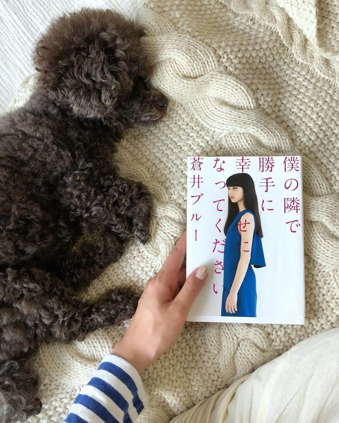 半田麗さんのインスタグラム写真 - (半田麗Instagram)「BOOKCOVER CHALLENGE﻿ ﻿ @ships_any_official のボス、@w_shinohara さんからブックカバーチャレンジのバトンを回して頂きました📖﻿ ﻿ マイペース投稿になってしまいそうですが、、まずはこちら。大好きな蒼井ブルーさん﻿ ﻿ -------------------------﻿ #bookcoverchallenge は、読書普及のための活動のバトンで、一週間、毎日一冊、好きな本を紹介しながら、毎日一人に繋ぎます。内容についての説明はいらず、表紙のみを共有するそうです。﻿ ﻿ ﻿ ということで次のバトンは、個人的にどんなものを読んでいるのか気になるなぁという方を勝手ながら指名させて頂くことにしました🙇‍♂️﻿ ﻿ @keiiida さん﻿ もしご興味があれば是非やってみて下さい〜！﻿ -------------------------﻿ #reih_book #ブックカバーチャレンジ #7days7covers #読書記録 #蒼井ブルー さん #僕の隣で勝手に幸せになってください﻿ ﻿ ﻿ ﻿」5月4日 17時27分 - rei__handa