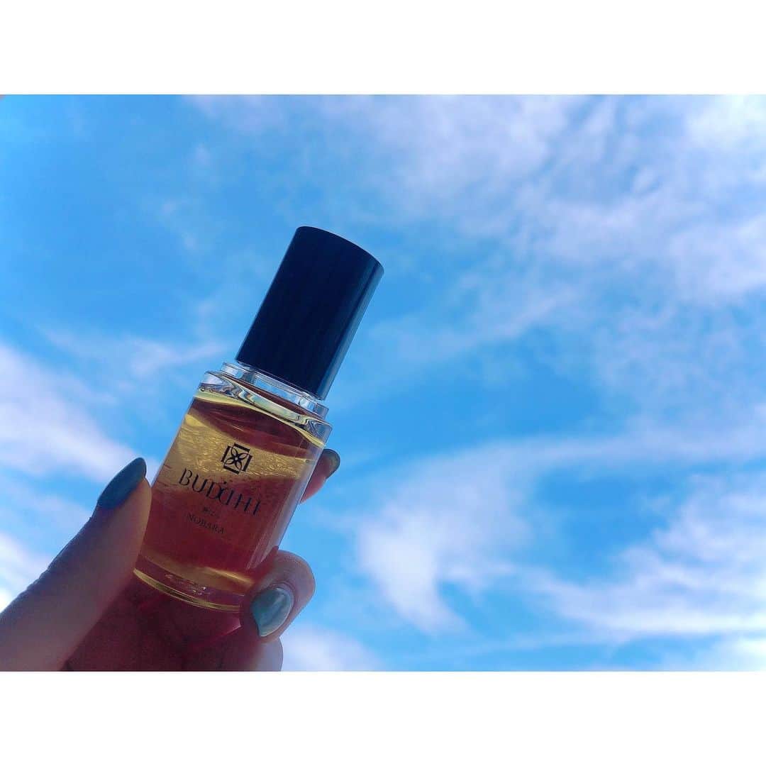rinaのインスタグラム：「@buddhi.jp ラグジュアリーな #おこもり美容 アイテム！ #buddhi #ブッディ のオイル2種 . #リトリートオイル 野ばら 20ml ￥18.000 ひえ！高いー！と思わず叫んでしまいそうですが笑 . ニューオータニのスイートルームや、ヒルトンのアメニティとして採用されている、美容オイル✨ . オメガ脂肪酸、ビタミンE等が豊富なエシカル原料と、野ばらをベースにラベンダー･プチグレン･クローブ･サイプレス等の濃厚な香り💐 . スキンケア前のブースターやスキンケアと混ぜて使えてり、ヘアやボディケアにも使えますー！ . #リトリートオイル 希釈タイプ 120ml ￥8.800 ボディケアや保湿ケアに使いやすいサイズ！ . プリンセピアをベースに、セサミ･コメヌカ･ホホバオイル等が配合されており、伸びの良さや浸透力、潤い… 全てを叶えてくれるトリートメントオイル🌱 . こちらも世界の5つ星ホテルや高級スパサロンで採用されておりますー！マタニティオイルとしても人気だそうです🍼 . 在宅時間が増え、身体がなまってしまいそうですが笑 そんな時こそ、オイル美容、おすすめです💓 . 公式サイト限定BUDDHIシリーズ商品を20%で購入出来る、クーポンコードはこちら︎︎︎︎！ 【s5xvbgfz】←入力︎︎︎︎☑︎ 有効期限は5/6(水)までです！ . わたしには1銭も入ってこない、安心システムですので笑 良ければチェックしてみてくださいね♡ . #オイル #美容オイル #トリートメントオイル #オイル美容 #スキンケア #スキンケアオイル #エシカル #ナチュラル #ナチュラルコスメ #メイク #コスメ #最高ランクのリトリートオイル #スイートルーム特別貴賓室限定アメニティ #stayhome」