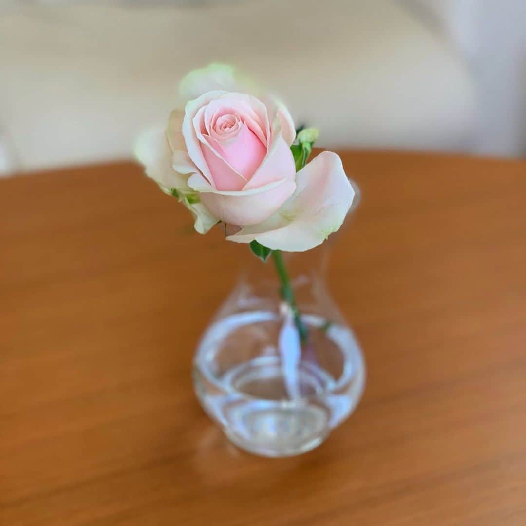 平川彩佳さんのインスタグラム写真 - (平川彩佳Instagram)「. おうち時間。 . 愛でていた花が 枯れかけてきたので、 ドライフラワーに。 . 綺麗なドライフラワーを 作るには、 枯れていない花で使った方が 綺麗に仕上がるそう。 綺麗に仕上がるかな。」5月4日 18時07分 - hirakawa_ayaka