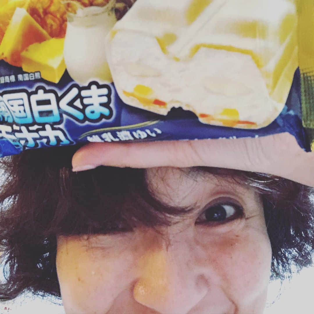 藤田朋子さんのインスタグラム写真 - (藤田朋子Instagram)「#しろくま #モナカ #パイナポー #たまりません #コンビニアイス ちょっと暑くなってきたら もうアイスです🍨 #南国白くまモナカ」5月4日 18時24分 - chiendormant