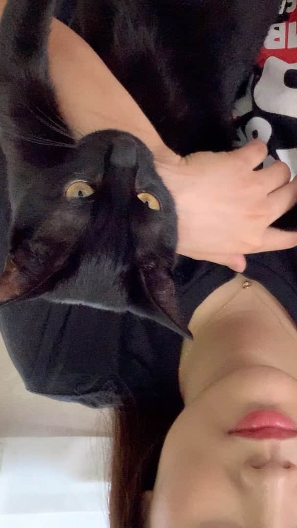秋山ゆずきのインスタグラム：「#リモ止め  実は我が家にはもう一匹猫がいるので #リモ止め踊ってみた応募 今更踊ってみたよ〜🐱✨ ✅本編はこちらから！  https://m.youtube.com/watch?feature=youtu.be&v=HTk2wqBxVfY  #リモート大作戦 #カメラを止めるな」