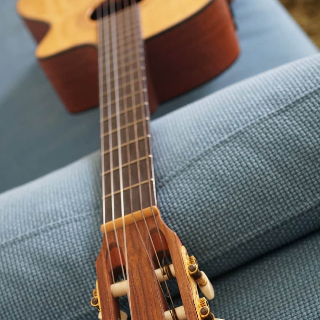 近藤薫さんのインスタグラム写真 - (近藤薫Instagram)「#Taylor #NS #Classic #Guitar #Gut #acoustic」5月4日 18時54分 - kondo_kaoru