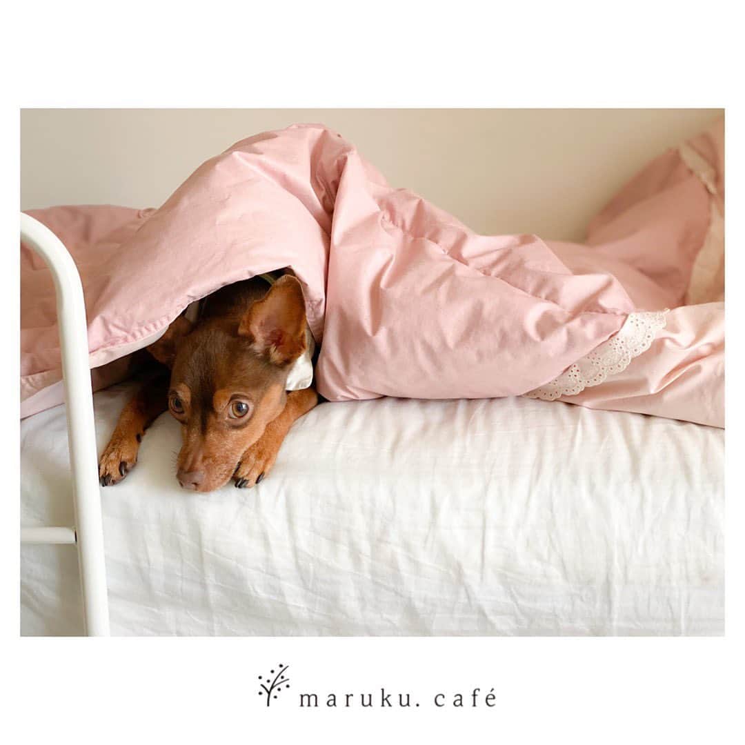 maruku. café のインスタグラム