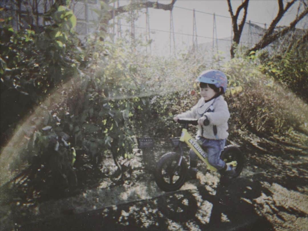 のインスタグラム：「#throwback #2017 #christmas #winter #tokyo #staysafe」
