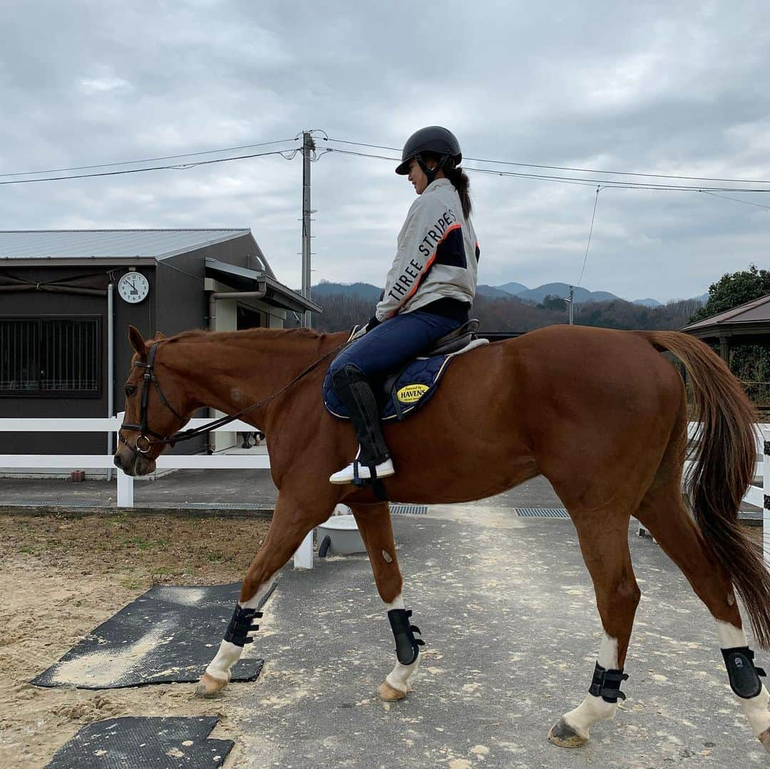 森田遥さんのインスタグラム写真 - (森田遥Instagram)「今年オフの時の乗馬🐴 やっぱり競馬も好きやけど乗ったり触れ合ったりする方が好きかなぁ。でも一線で戦ってる子はカッコええなぁ。でも見るより乗りたいなぁ。でも競走馬にいつか乗ってみたいなぁ。無理かぁ。🦄 #要するに最高  #お馬さん最高 #走るときだけ馬になりたい #ritmo #ライディングクラブ  #リトモ #いつも優しく教えてくださりありがとうございます #🤎」5月4日 23時01分 - moritaharuka5588