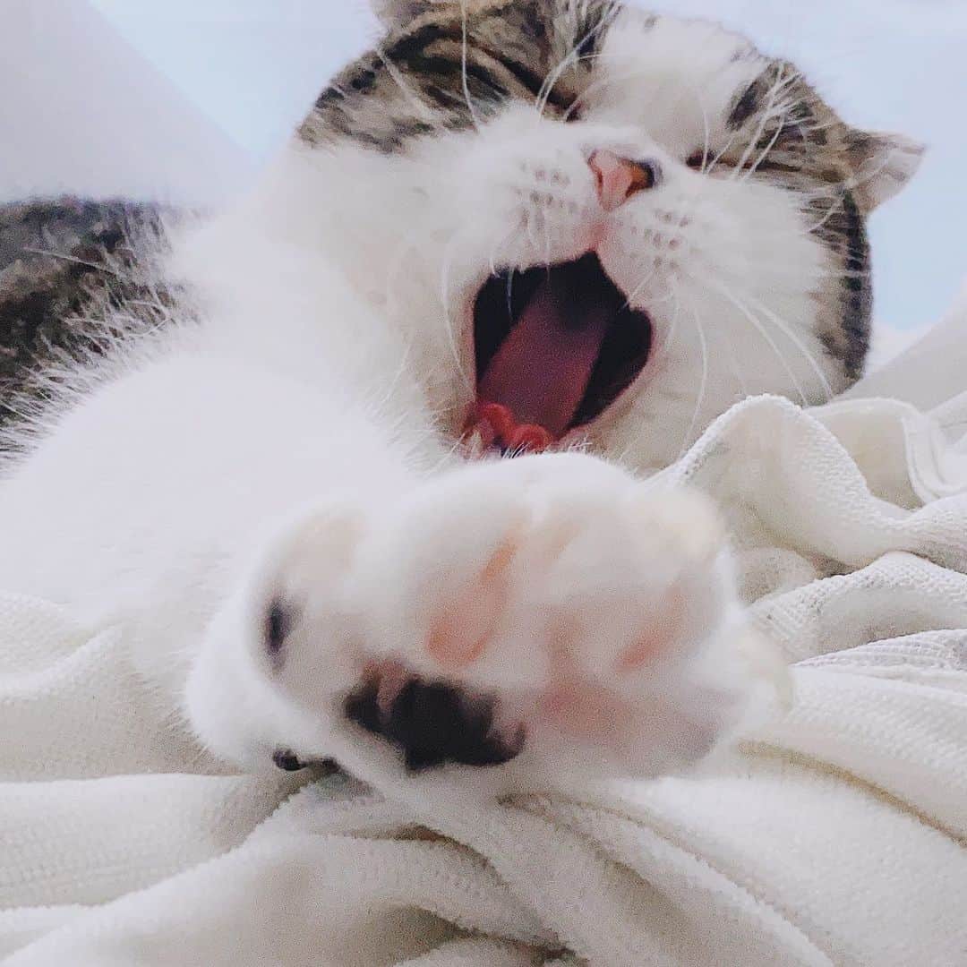 のインスタグラム