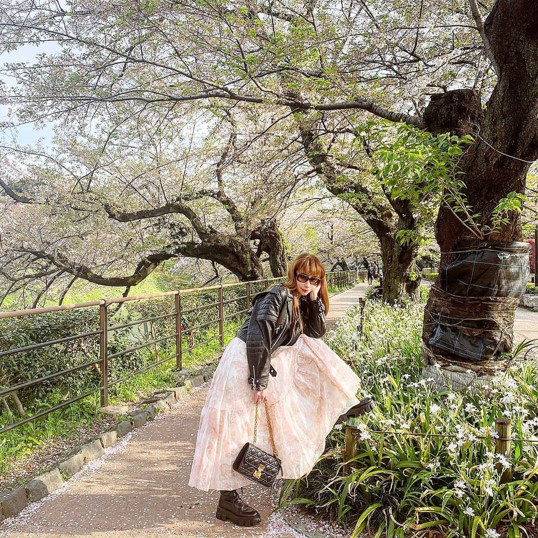 fashion dog loverさんのインスタグラム写真 - (fashion dog loverInstagram)「I love spring. I hope the corona will converge soon.🙏🏻 #fashion #fashionista #fashiongram #ootd #outfit #ootdfashion #outfitoftheday #celine #dior#prada#ファッション #ファッションコーデ #コーデ #ライダースジャケット #セリーヌ#ディオール #プラダ #マルニ」5月4日 23時24分 - chihuahuanyan