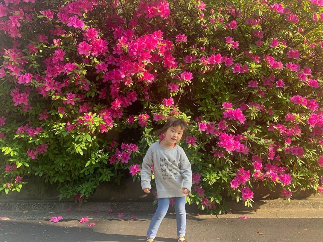 のインスタグラム：「いつかの、いい腰。 . いつかの #今日のなまこちゃん  #4歳9ヶ月」