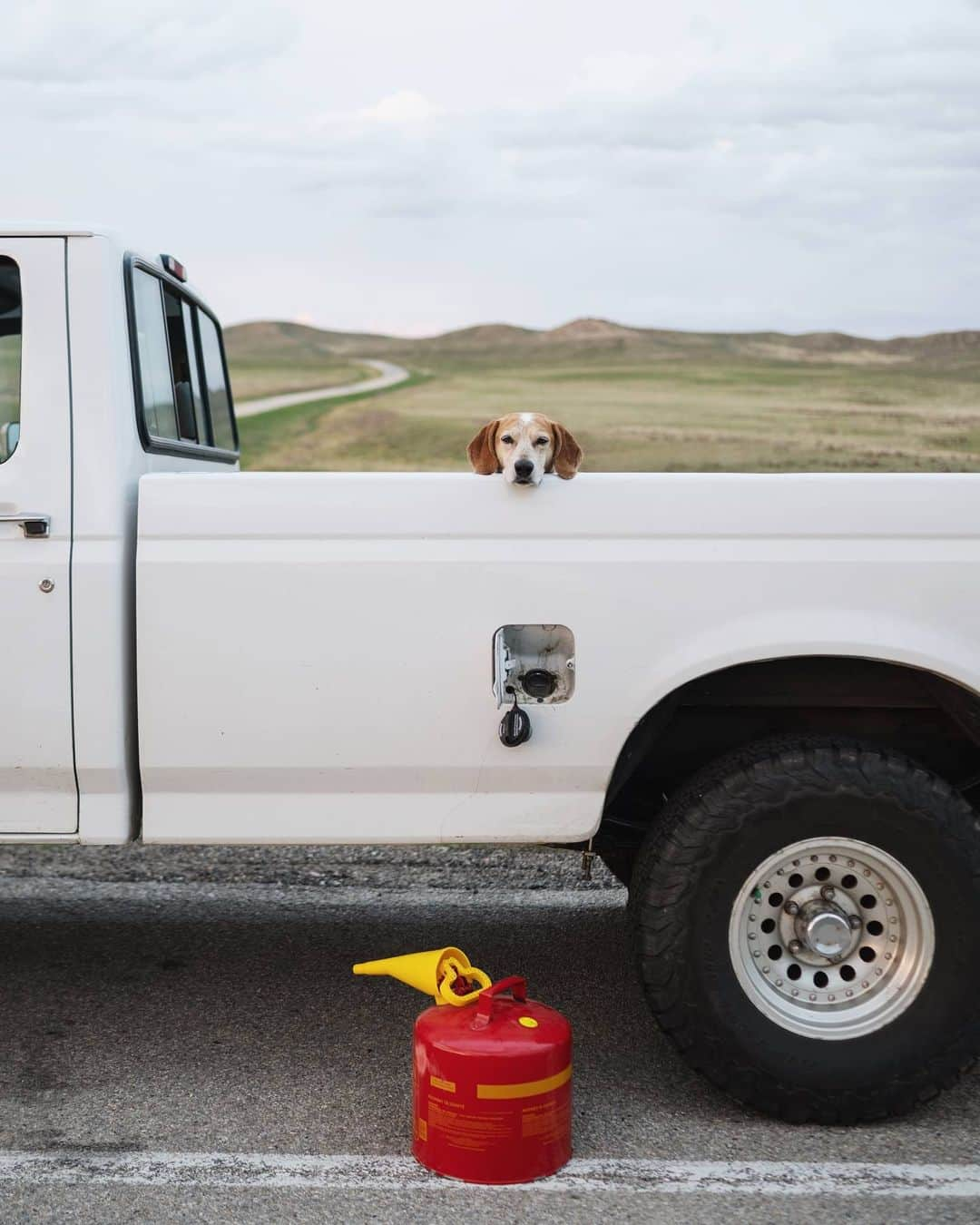 マディさんのインスタグラム写真 - (マディInstagram)「Still ain’t sure if always carrying 5 gallons of extra fuel makes me more or less responsible? Plz vote below ⁣ ⁣ I’m voting less because I always seem to run out and I’m never too worried about it 🙈」5月4日 23時32分 - thiswildidea