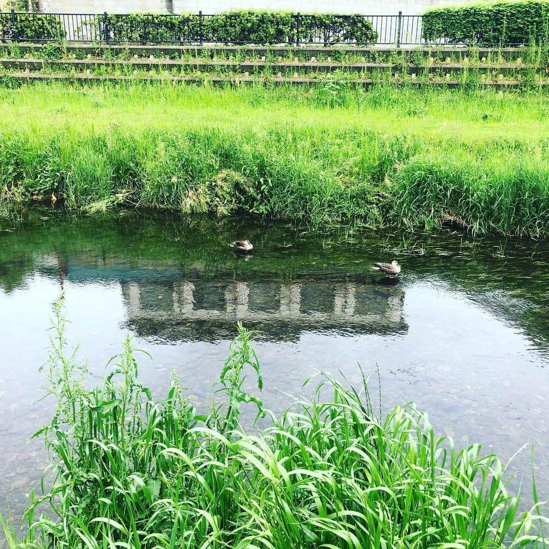 林千晶さんのインスタグラム写真 - (林千晶Instagram)「自粛のGW。でも都内でもたくさん行ってみたいところがあるもの。 おにぎりを持って、近くの公園で新緑を楽しみました！」5月4日 23時54分 - chiaki_0808