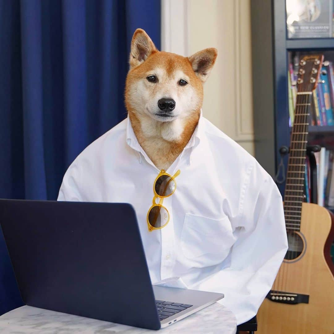 Menswear Dogのインスタグラム：「Be the breath of fresh air that Monday needs 👌  #WFH with @brooksbrothers #MayMonday #brooksbrothers」