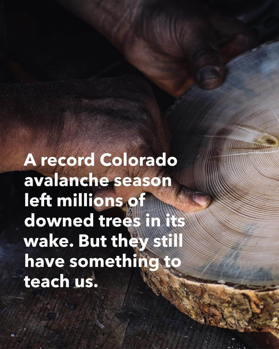 patagoniaさんのインスタグラム写真 - (patagoniaInstagram)「From disaster to data: Colorado’s 2019 avalanche season felled an unprecedented number of trees. Learn how a team of avalanche experts—with chainsaws and big lungs—spent a summer in the backcountry collecting tree ring samples to help them better understand avalanche and climate change patterns.⁠⠀ ⁠⠀ Read @laura.yale's story on The Cleanest Line through the link in bio. ⁠⠀ ⁠⠀ Photo: @forestwoodward」5月5日 2時25分 - patagonia
