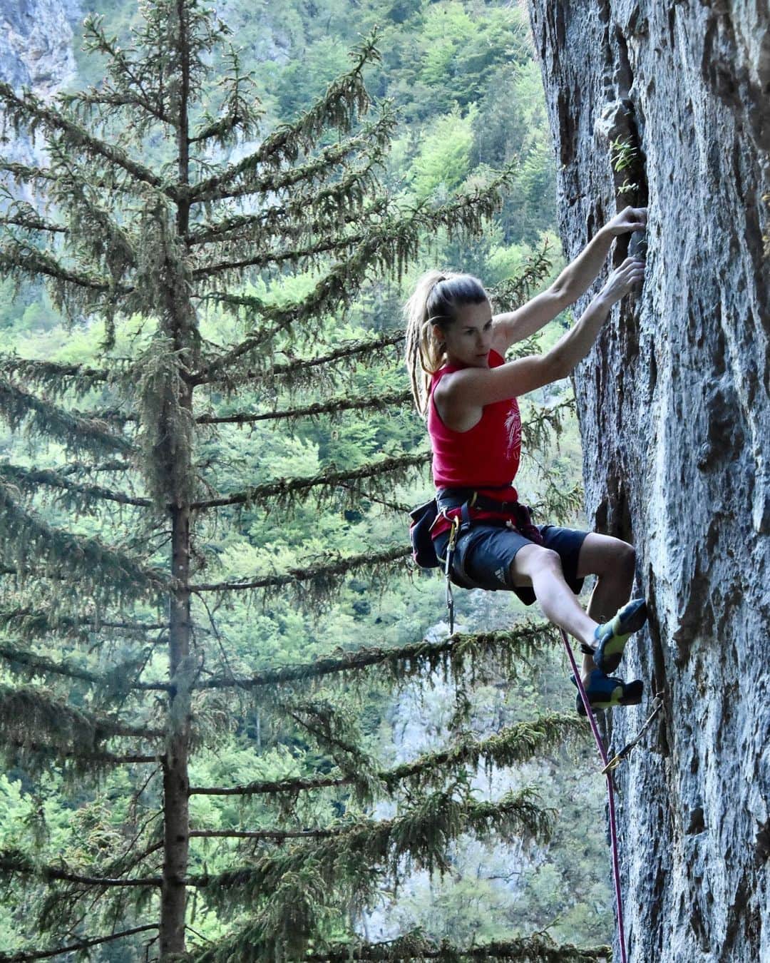 マヤ・ヴィドマーのインスタグラム：「It feels sooooo good to touch the rock again ❤️ . @scarpaspa @fa_climb . #climbing #rockclimbing #verticallife #climbing_pictures_of_instagram #sLOVEnia #nature🌿 #dolzanovasoteska #moredayslikethis ☀️😉」