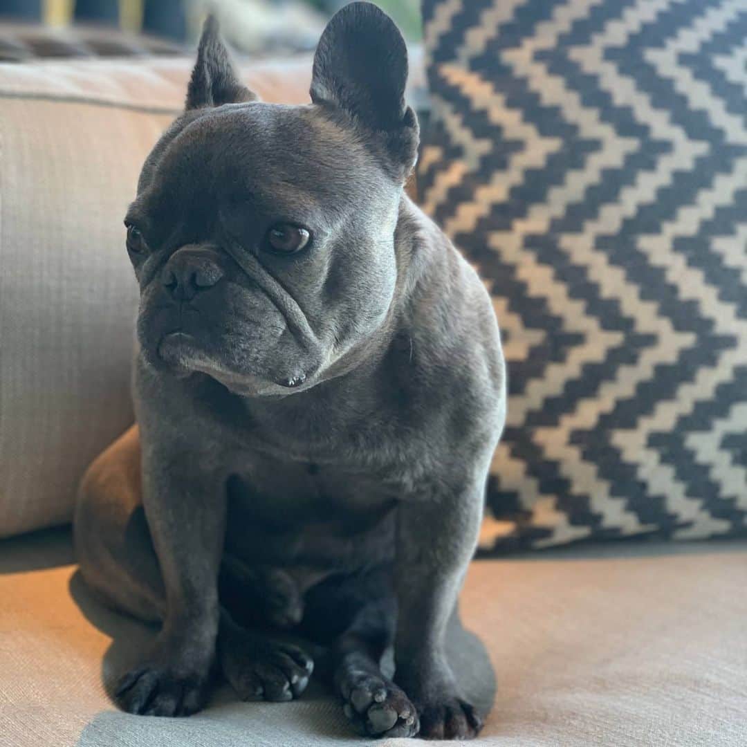 のインスタグラム：「The look when u realize it’s another week before the next episode of #lastdance @espn  thoughts on the #goat and the Doc ?!」