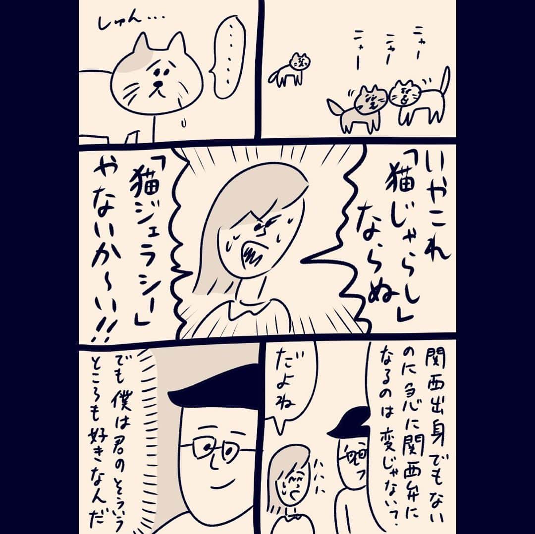おほしんたろうのインスタグラム：「猫とアドバイスと伝えられなかった気持ち . . . . . #おほまんが#マンガ#漫画#インスタ漫画#猫#ネコ」