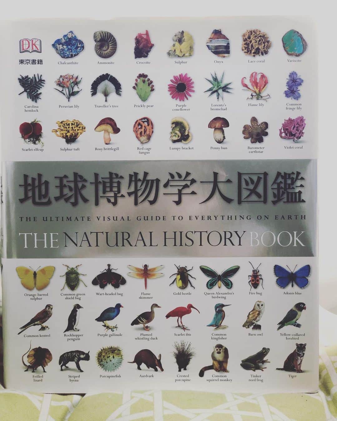 英玲奈さんのインスタグラム写真 - (英玲奈Instagram)「@makochi1201  からいただいた、 #7日間ブックカバーチャレンジ  #１日め 私が紹介するのは、 #地球博物学大図鑑  高価な図鑑なのでしばらく悩みましたが、手元に欲しくて購入。 鉱物、昆虫、動物、色々な地球に存在するものが載っています。  今日お繋ぎするのは、 2人の子育てしながらも、 仕事に家事にいつも頑張っている、 @nakayamamami  ちゃん。 よろしくお願いします！  #7日間ブックカバーチャレンジ  は、 読書文化の普及に貢献する為のチャレンジで、 参加方法は好きな本を１日一冊、 ７日間投稿するというもの。 本についての説明無しに、 表紙だけの画像をアップして、 そして毎日一人のお友達を招待してこのチャレンジに参加していただくことをお願いしています。  でも、こちらにもう挑戦された方も多く、仕事や子育てで忙しい方も多いので、私は無理に繋ぐことはやめました。 見つからない場合はバトンはつながず、本だけ紹介させていただきます。  また、つながせていただいたお友達も、 無理につながず、好きな本を紹介していただくだけでも嬉しいなと思っていますので、皆さん無理しないでね╰(*´︶`*)╯♡」5月5日 14時44分 - erena_erenyan