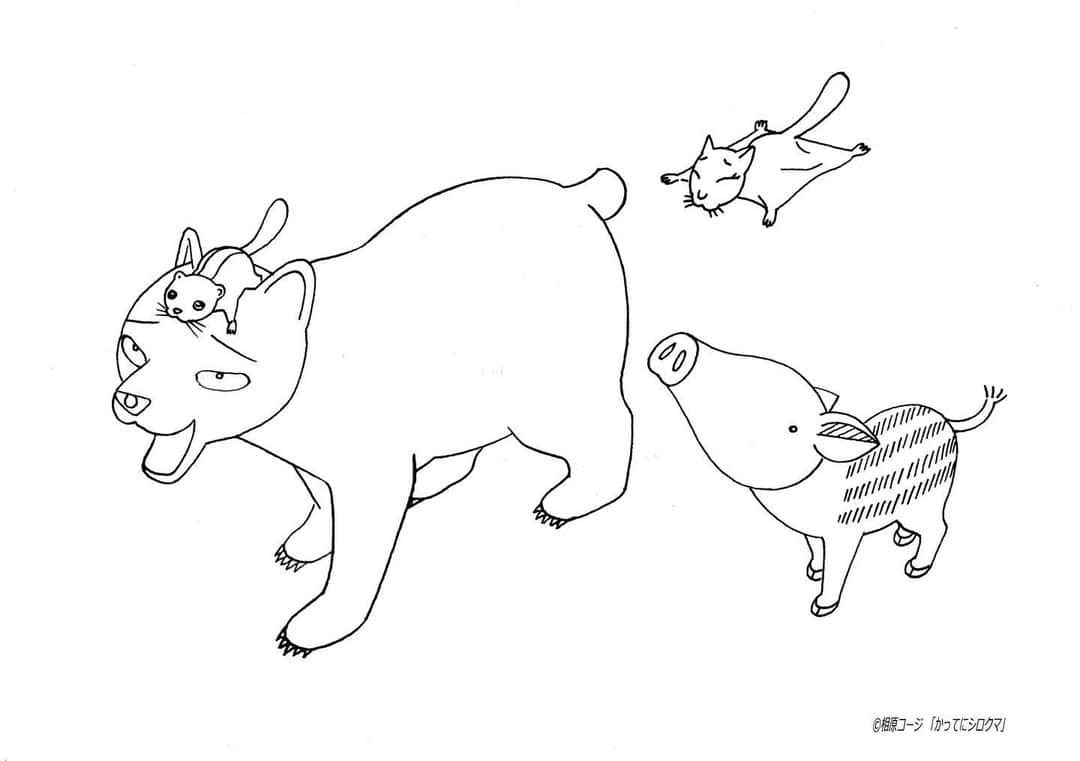 相原コージさんのインスタグラム写真 - (相原コージInstagram)「#こどもの日  ということで『かってにシロクマ』ぬりえを。塗って遊んでみてね。　#ぬりえ　#かってにシロクマ　#動物漫画　#クマ　#ウリ坊　#ヤマネ　#モモンガ　#coloringpicture」5月5日 15時29分 - kojiaihara