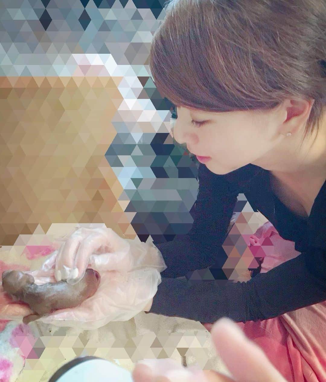 のインスタグラム：「今日は子供の日だから🎏  自宅出産で〝れもん〟をとりあげた瞬間の写真から見返してみたよ🥰 〝みんと〟はこの4〜5時間後に産まれてきてくれた💚  はなびママは最初ミルクが出なかったから姉妹で交互に2時間起きにミルクをあげていました😌  どんなに辛いことがあっても、この子達の姿をみると浄化され吹っ飛んだ😆👊 今月で、この子達も5歳になります❣️ #子供の日 #toypoodles #hanabi #lemon #mint #love #mytreasure  #memories  #えれな」