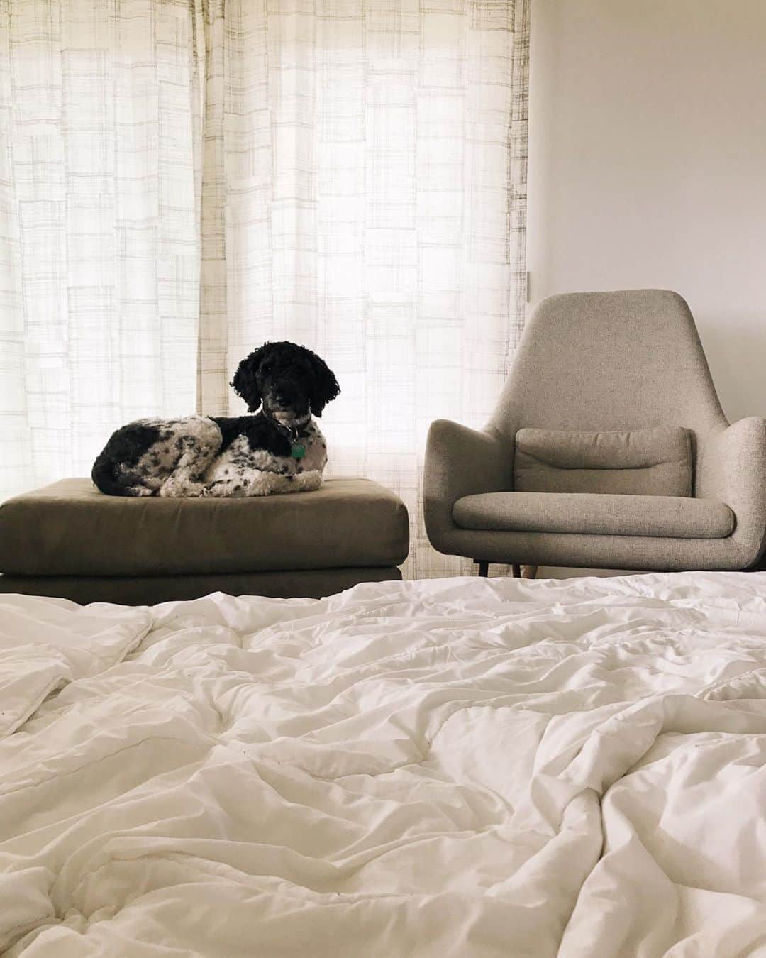 Robin May Flemingのインスタグラム：「We've had a mattress on our living room floor since the middle of March. It was originally intended for a single cozy movie night, to make the most of a strange and existentially challenging time.  I imagined it would provide similar comfort to the old foam camping pad my parents used to put on the carpet at the foot of their bed when I was sick. I imagined it would evoke the buzzy excitement of a childhood sleepover. I imagined it would pair best with fuzzy-edged films from the '90s.  And you know what? It did. It did all of those things.  So we left it there for another night. And another night. And the strangeness stretched on.」