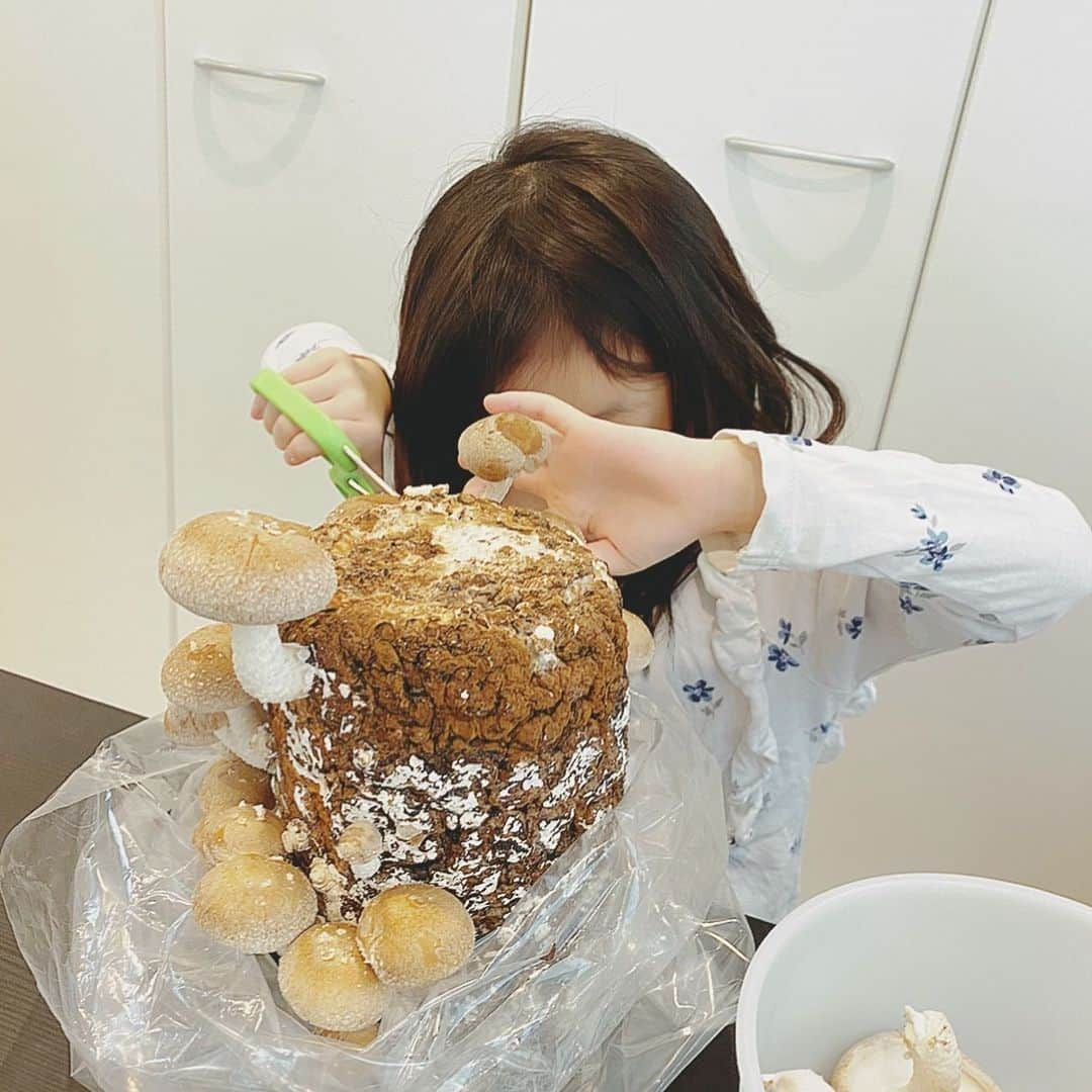 大堀恵さんのインスタグラム写真 - (大堀恵Instagram)「初めての椎茸栽培🍄 本当は、今年筍掘りもお友達と計画していたんだけど叶わなかったので、、、 椎茸をおうちで収穫することが出来て良かった！ #椎茸栽培　#ステイホームがんばろう」5月5日 7時28分 - ohorimegumi