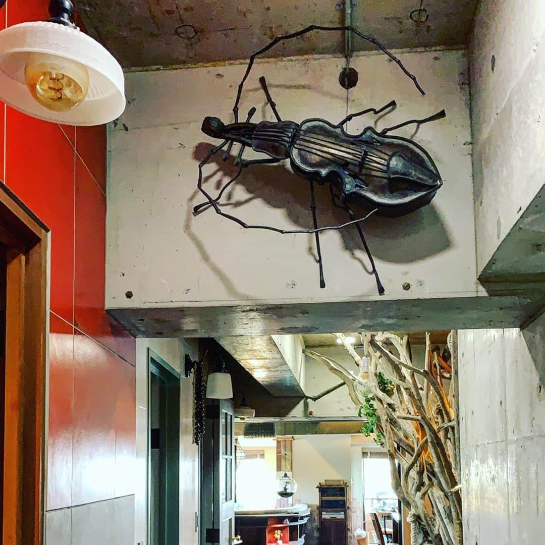 伊勢谷友介さんのインスタグラム写真 - (伊勢谷友介Instagram)「設置完了。 虫はやっぱり、壁にとまってる方が生き生きするね。 征矢さん、お世話になりました！」5月5日 8時03分 - iseya_yusuke