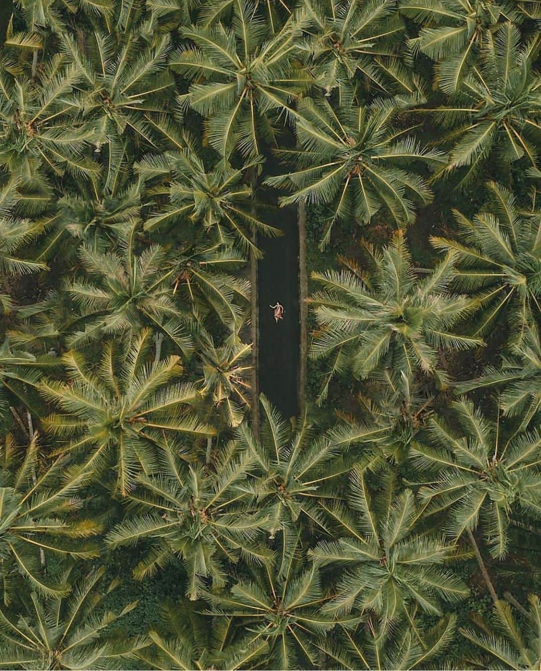 VzcoMoodのインスタグラム：「#dscvr mood with @nyonyokecil To be discovered please follow @dscvr.mood Tag #dscvr_mood • • • • • • • • • • • • • • #ExploreHisearth|#AlifeAlive|#PhotographyArt|#LetsWander|#OpenMyWorld|#HypeBeast|#PhotographyisLifee|#WanderLust|#PhotographerLife|#SimplyAdventure|#FadedSpirits|#RoamToCreate|#SharpenMyFilm|#BleachMyFilm|#TravelStoke|#FeatureMeOfH|#PhotographyLover|#TravelAwesome|#GoExplore|#HuffpostGram|#CollectivelyCreate|#Inspire|#TravelBlog|#L0tsaBraids|#CreateScenery|#EarthFocus|#9Gag」