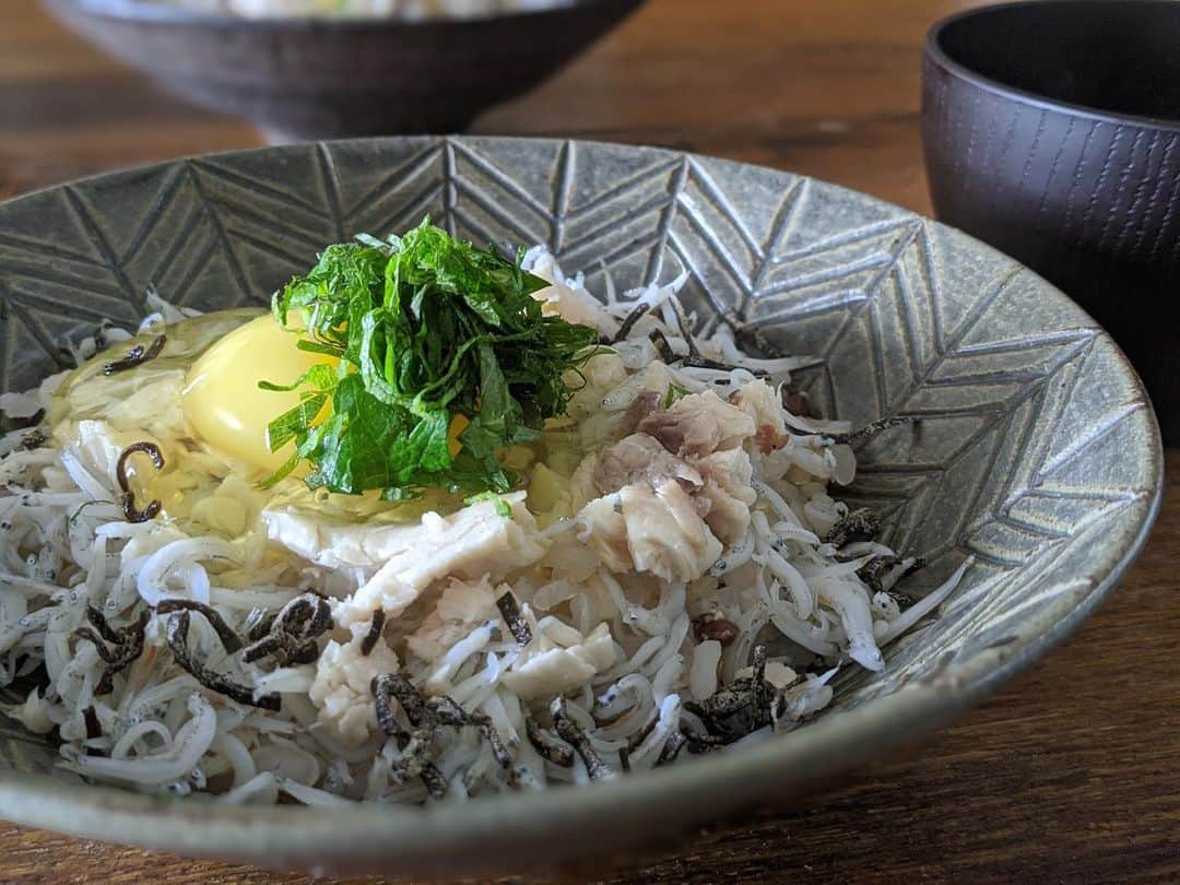 藤田敦子のインスタグラム：「ㅤㅤㅤ 【#blendakitchen 】 Lunch♪ 昨日の卵かけご飯が最高すぎた🙏 ㅤㅤㅤ ✔︎ @kurkkufields の平飼い卵 ✔︎しらす(そろそろ @nao_yamari07 のしらす買わねば😍) ✔︎無添加塩昆布 ✔︎ @eriko104 レシピの自家製ツナ ✔︎青しそ ㅤㅤㅤ まじ無敵で、同じのもう一個作って お代わりしました🙏 2回目はエゴマオイルをかけて少し味変😍」