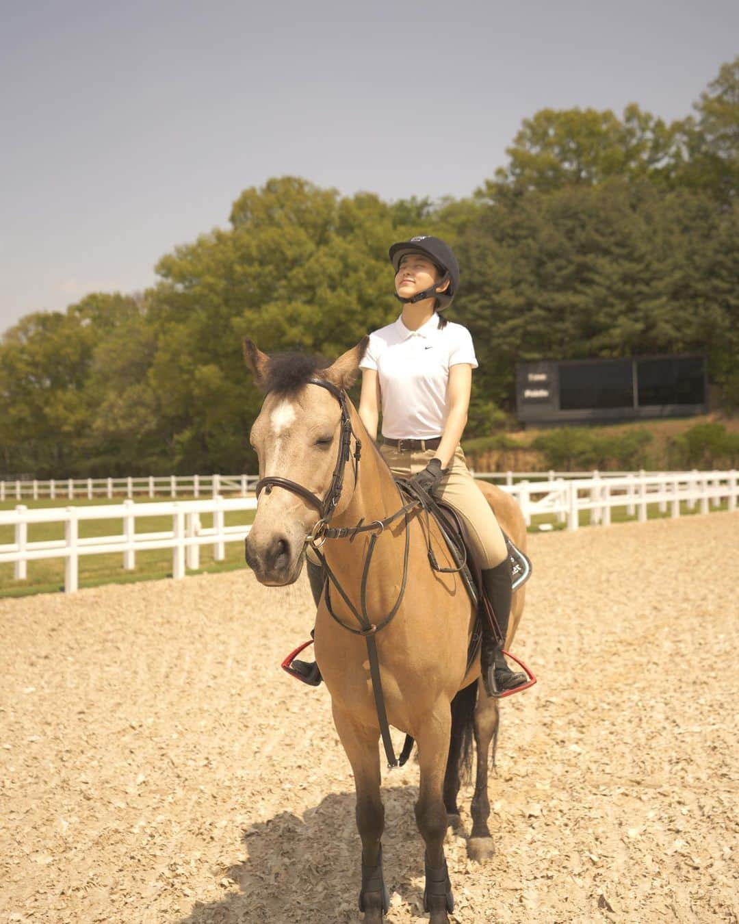 ソヒョン さんのインスタグラム写真 - (ソヒョン Instagram)「🐴❤️😍 ⠀ 나도 힐링 🐴 탄이도 힐링 ☘️ ⠀ 간만에 인스타 🤗🤗 사진 좀 찍는 표정부자 탄 🐴 이랑 🥰 ☺️ 👉 🙂 👉 😝 👉 🤪 표정변화 ㅋㅋㅋ ⠀ ⠀ #horse #horseriding #healing #올해도 #재활힐링승마 #홍보대사 🙏」5月5日 9時48分 - kkwonsso_94