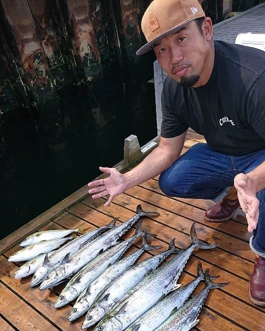 武蔵さんのインスタグラム写真 - (武蔵Instagram)「去年の夏、東京湾で鰆が爆釣。  いるんですよ～東京湾にはこんな大きな鰆たちが！  メチャクチャ美味かったな～👍 季節を通して色々な魚が釣れる豊かな海です✨  #武蔵 #釣り #鰆 #サワラ #東京湾  #fishing  #fishingrod  #tokyobay  #spanishmackerel #nofishingnolife」5月5日 10時32分 - musashi_k1karate