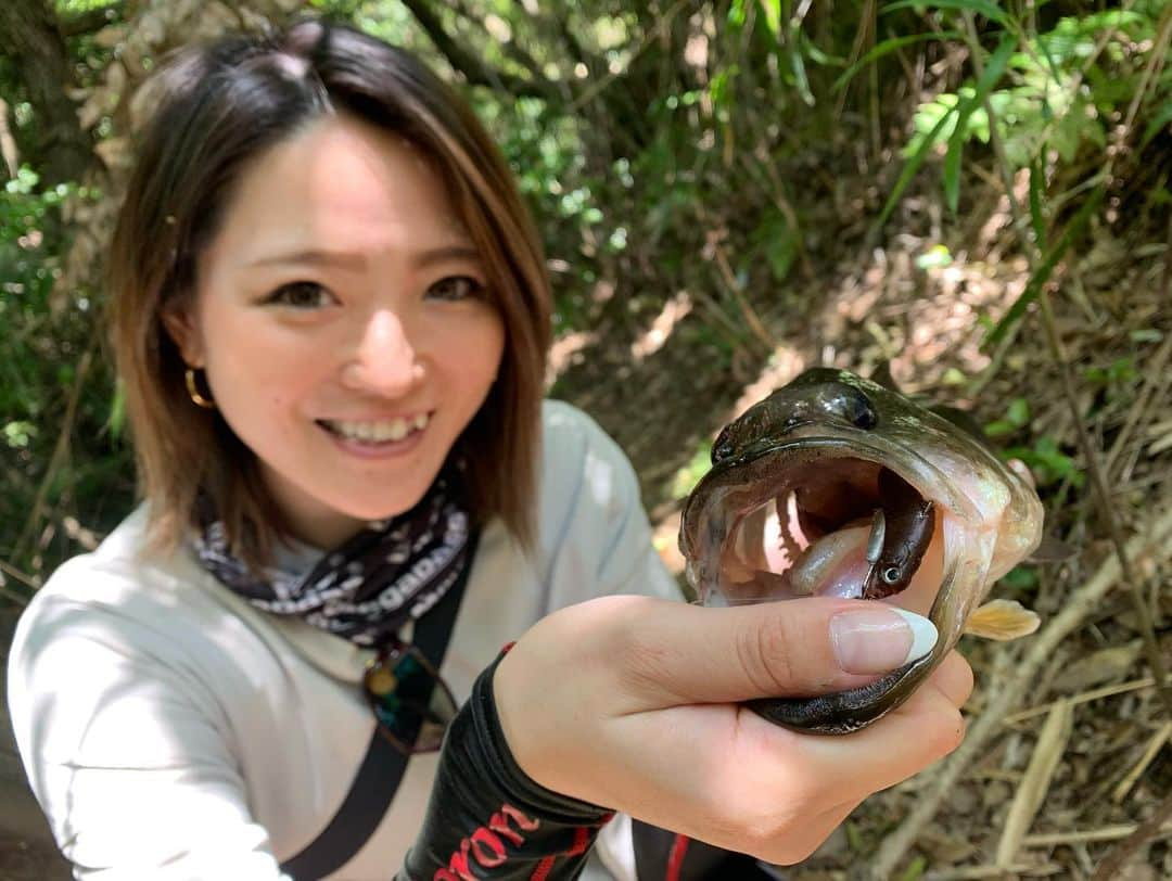 疋田星奈さんのインスタグラム写真 - (疋田星奈Instagram)「釣りも行きたいな～～‪🎣‬ ZAPPUのブレディ説明動画を 撮ろうと奮闘中w なかなか説明って難しい… 感覚主義すぎて語彙力乏しい。😂🙌 がんばろ。 . . #釣り #バス釣り  #最近の悩みは私がバスプロだということを知らない方の方が多いということ #バスプロ です #そう思われるようにもっと頑張ります  #このとき妊娠10ヶ月」5月5日 10時36分 - seina.91