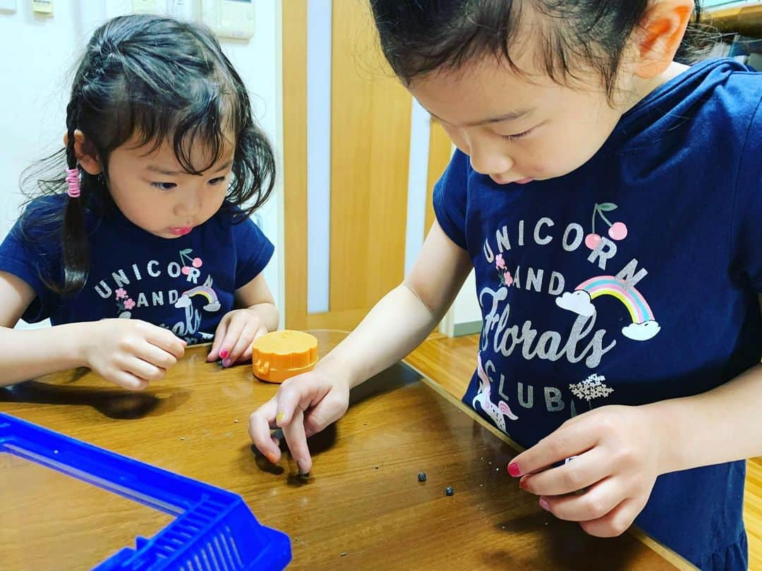 伊藤孝恵さんのインスタグラム写真 - (伊藤孝恵Instagram)「子どもの日　家の中でも　ダンゴムシ（5・7・5）  #子供の日 #こどもの日 #575 #俳句　 #ダンゴムシ #姉妹 #仲良し #お揃いコーデ  #7歳女子 #5歳女子 #元気の源 #愛娘 #お家時間 #お家で楽しむ #お家遊び #stayhome #staysafe #stayalive #参議院議員 #国民民主党  #2児の母 #女の子ママ #ワーママ #Domani #ドマーニ #domanist  #伊藤たかえ #伊藤孝恵」5月5日 11時13分 - itotakae