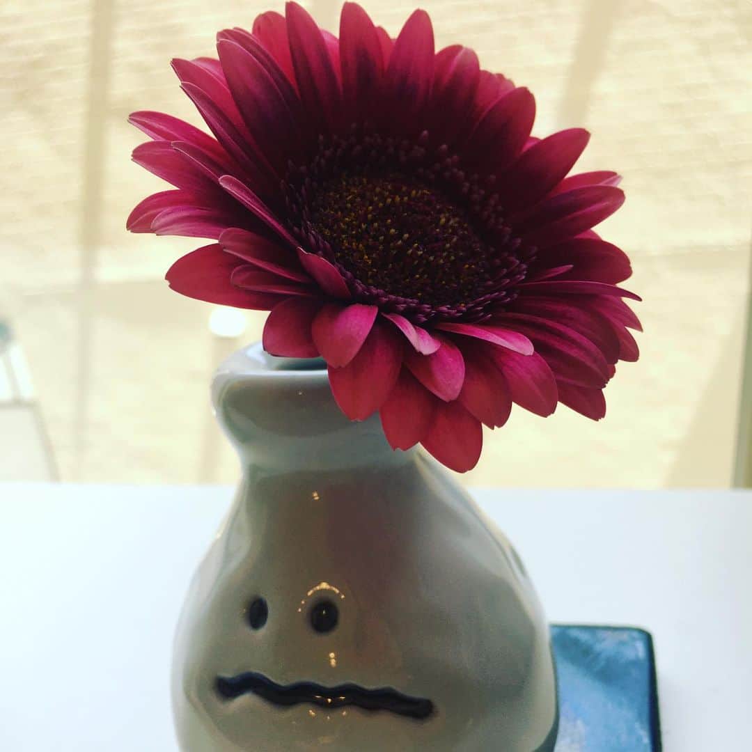 宮田麺児のインスタグラム：「今日の花。」
